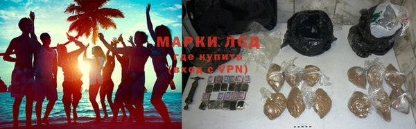 тгк Нея