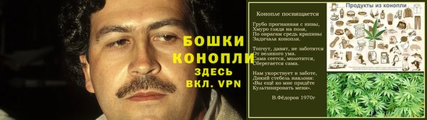 тгк Нея