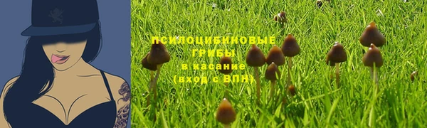тгк Нея