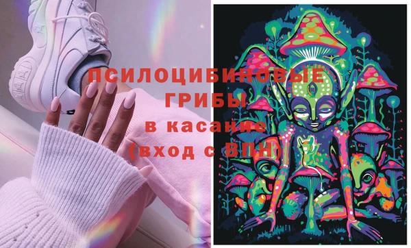 тгк Нея