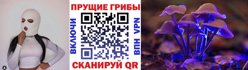 Псилоцибиновые грибы Psilocybine cubensis  Новосибирск 