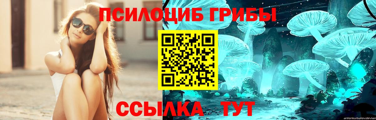 Псилоцибиновые грибы MAGIC MUSHROOMS  Вход с VPN  Псилоцибиновые грибы Psilocybine cubensis  Новосибирск 