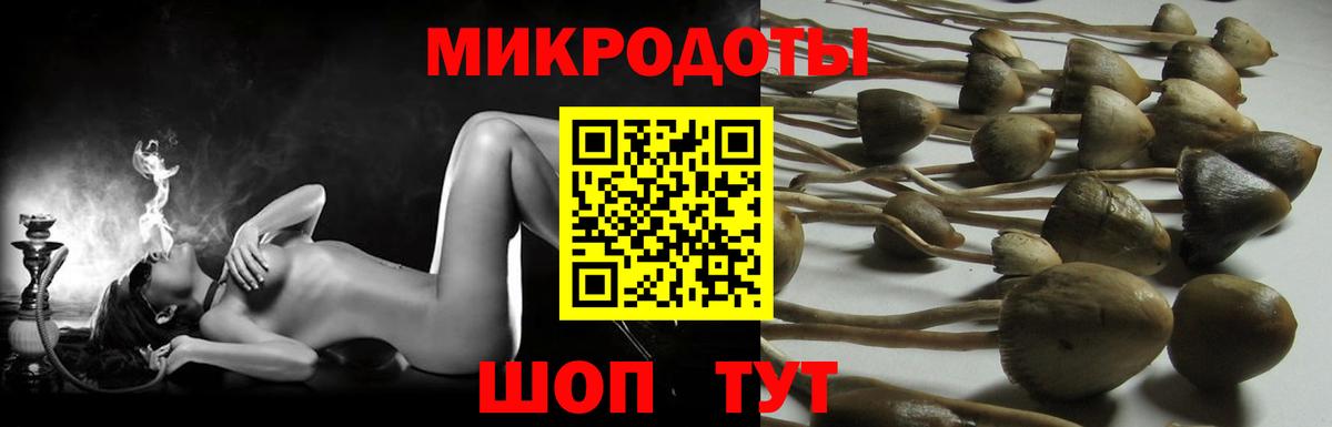 Псилоцибиновые грибы прущие грибы  Галлюциногенные грибы Psilocybe  продажа наркотиков  Новосибирск 